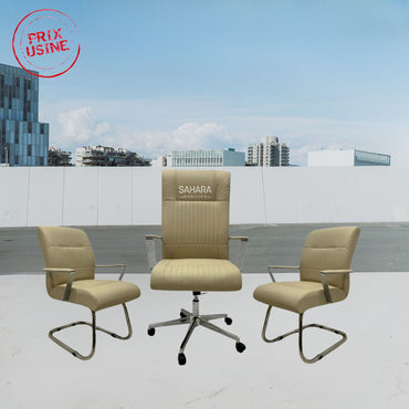 Ensemble Fauteuils BLAD Beige Réf B3593