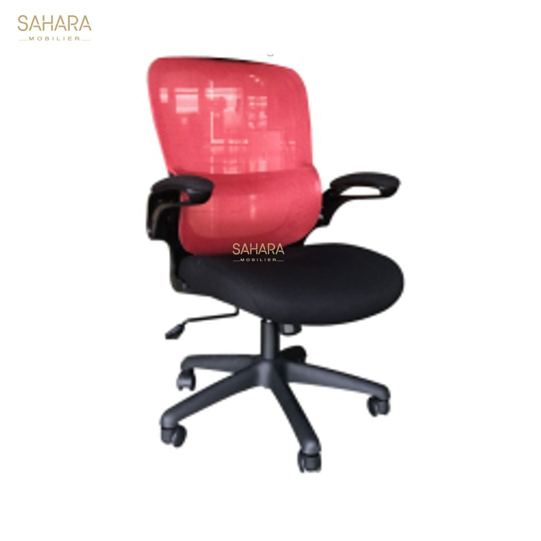 Fauteuil sénateur NEO Réf B3145