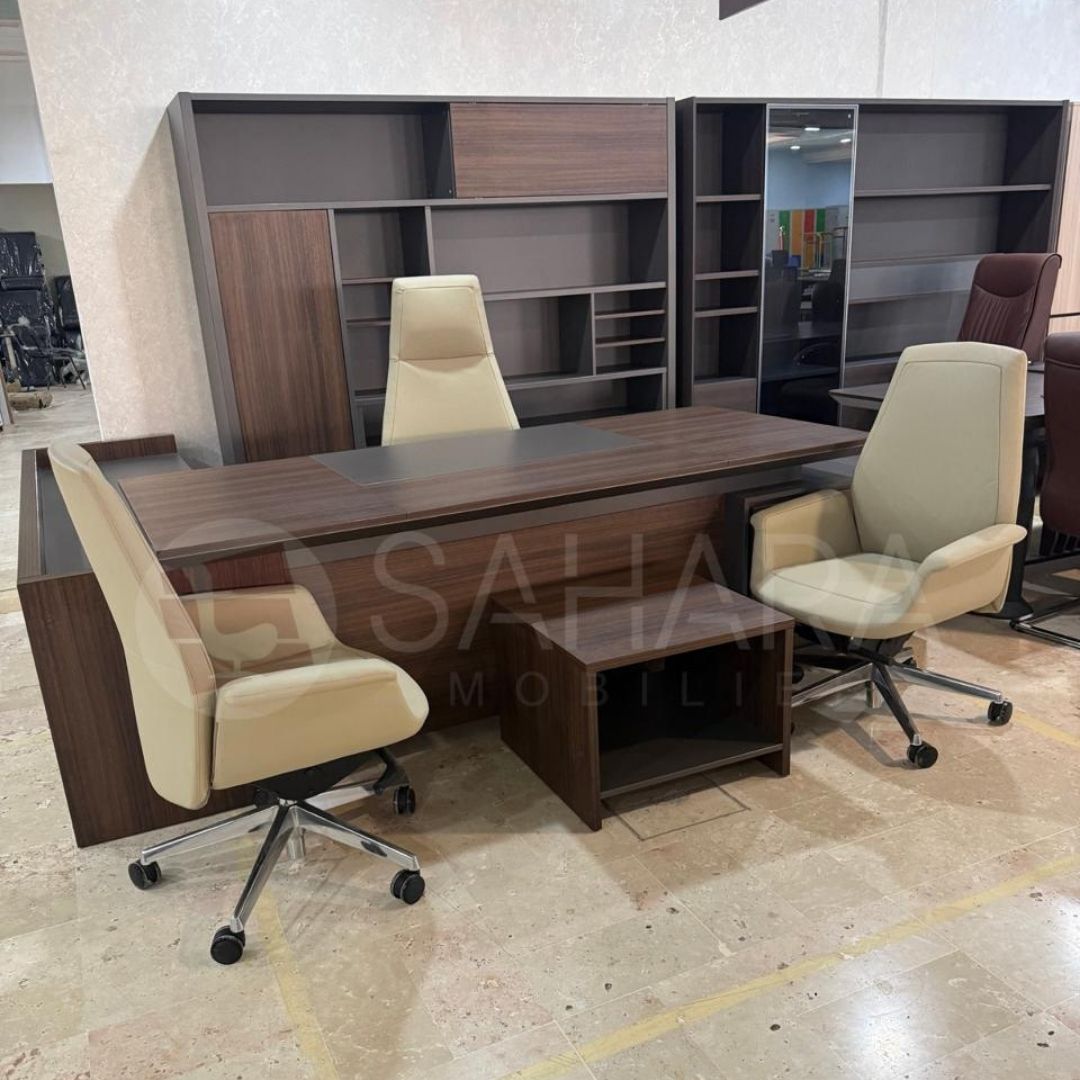 Ce pack inclut un bureau, une bibliothèque et une table basse assortis, parfait pour créer un environnement de travail harmonieux. Fabriqués en bois de qualité, ces éléments allient design et praticité.